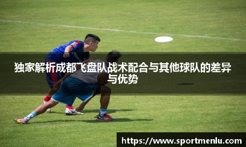 独家解析成都飞盘队战术配合与其他球队的差异与优势